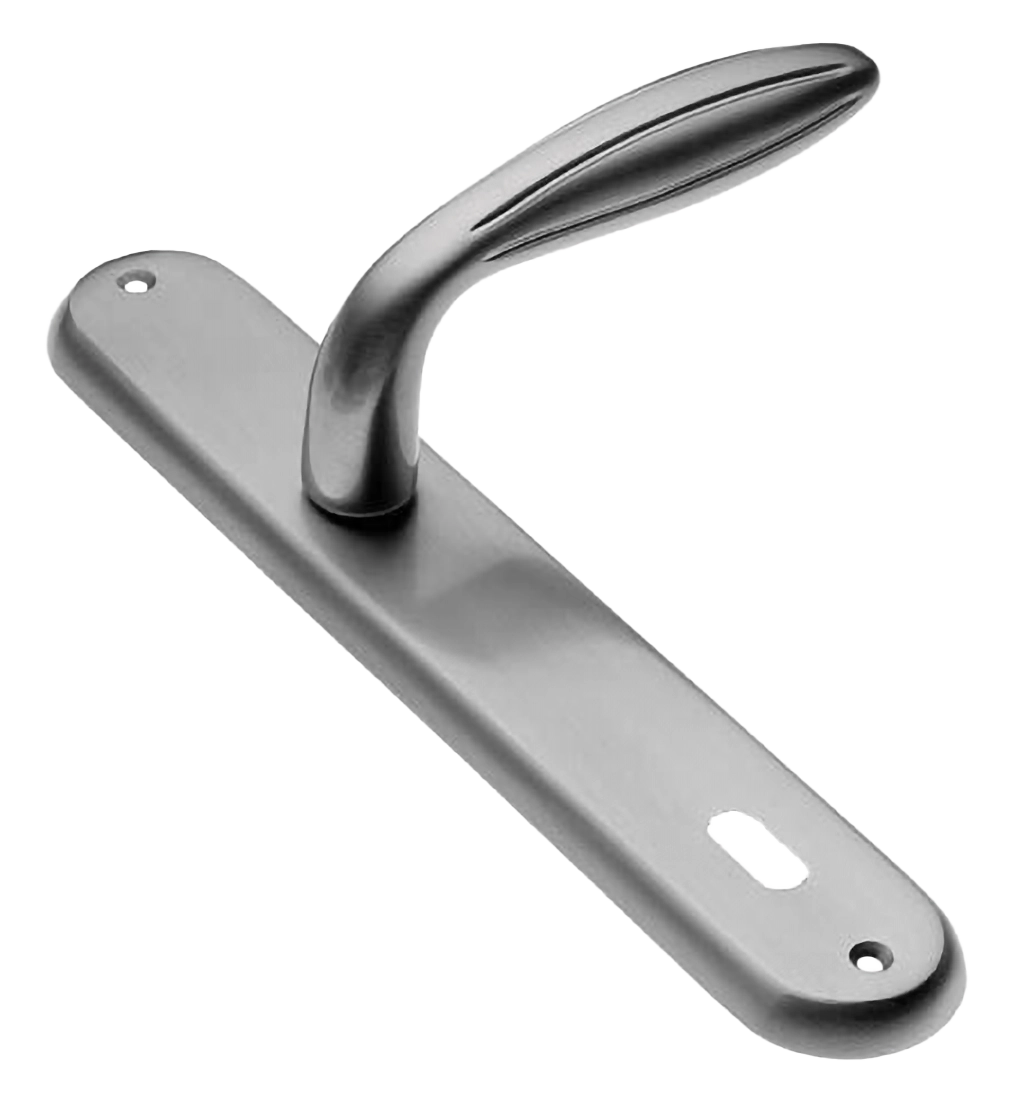 Ручка дверная на планке BUD PL CSA, цвет матовый хром, латунь фото купить в Хабаровске