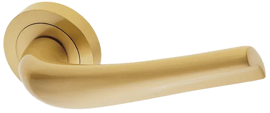 RAFT R2 OSA, ручка дверная, цвет - матовое золото фото купить Хабаровск