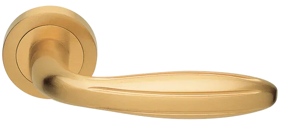 BUD R2 OSA, ручка дверная, цвет - матовое золото фото купить Хабаровск