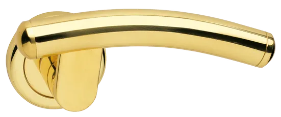 LUNA R4 OTL, ручка дверная, цвет - золото фото купить Хабаровск