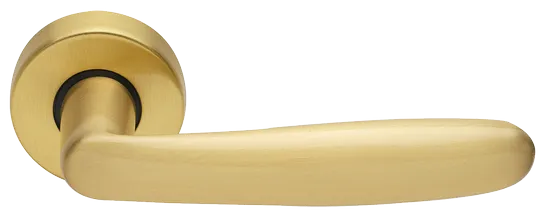 IMOLA R3-E OSA, ручка дверная, цвет - матовое золото фото купить Хабаровск